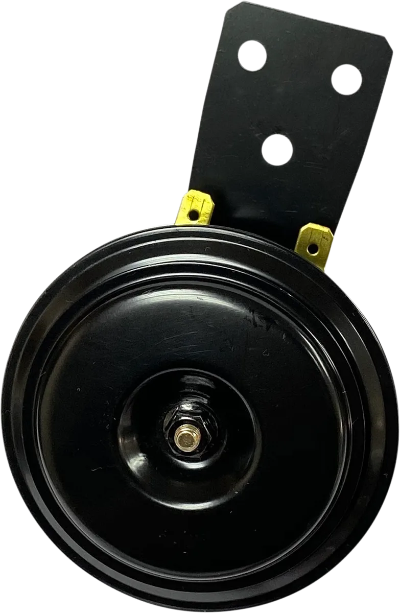 12 V Horn