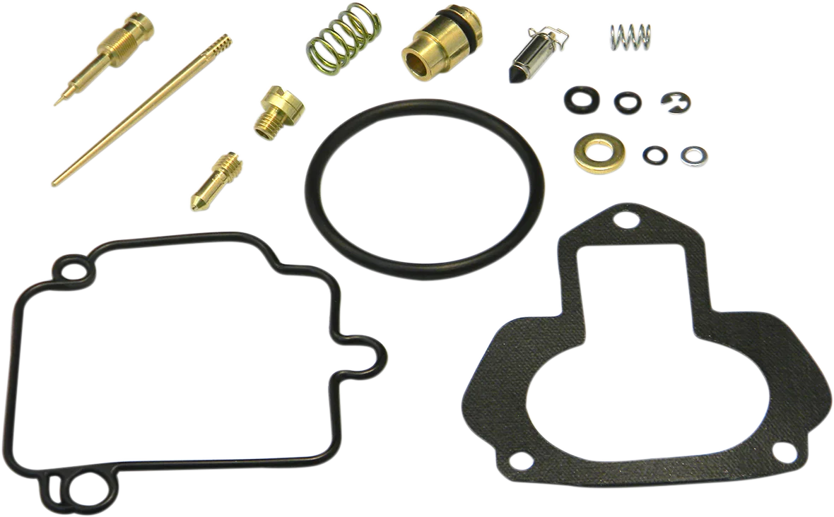 Carburetor Repair Kit