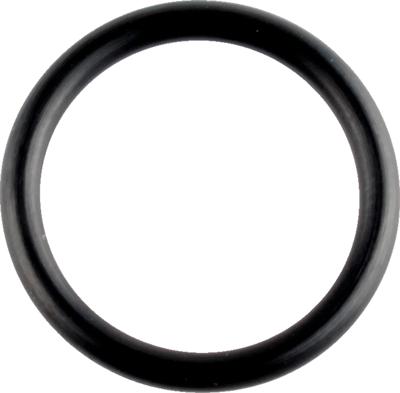 O-Ring/V-Ring