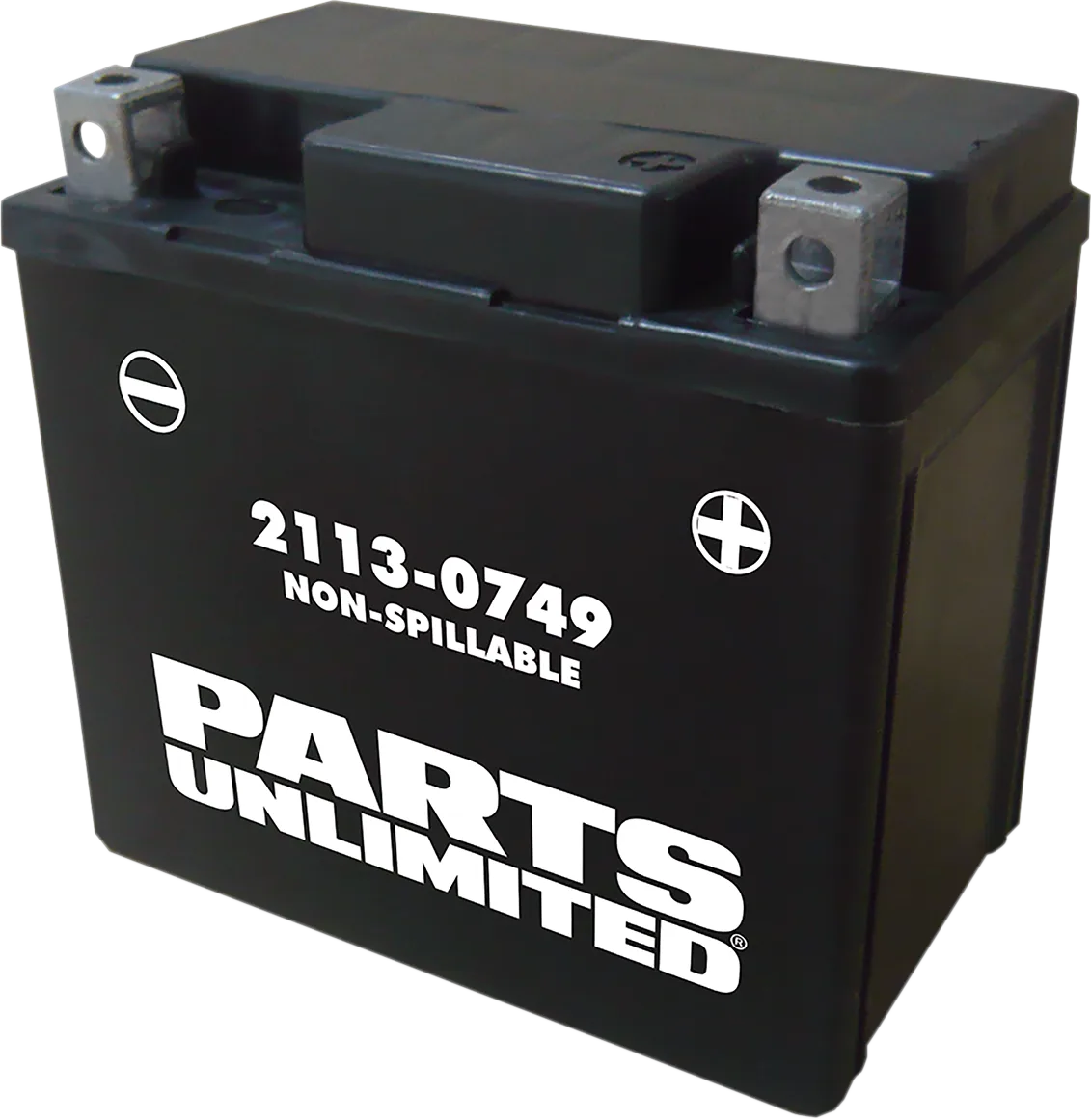 AGM Maintenance-Free Battery