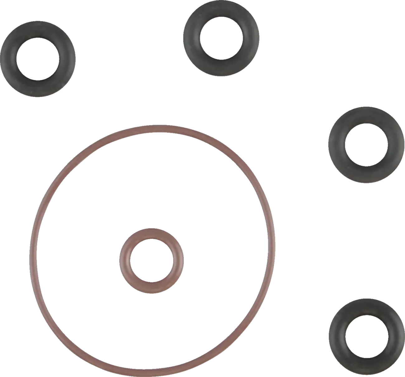 Induction Module O-Ring