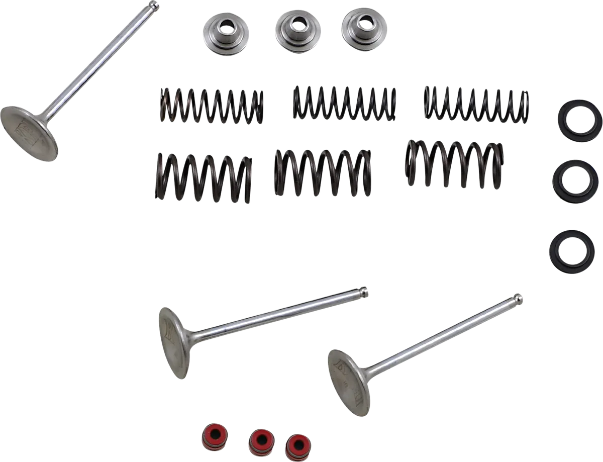 Intake Valve and Spring Kit