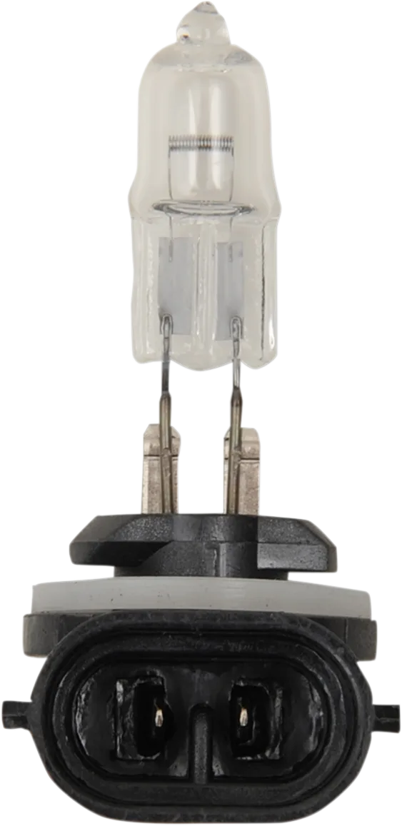 Halogen Bulb
