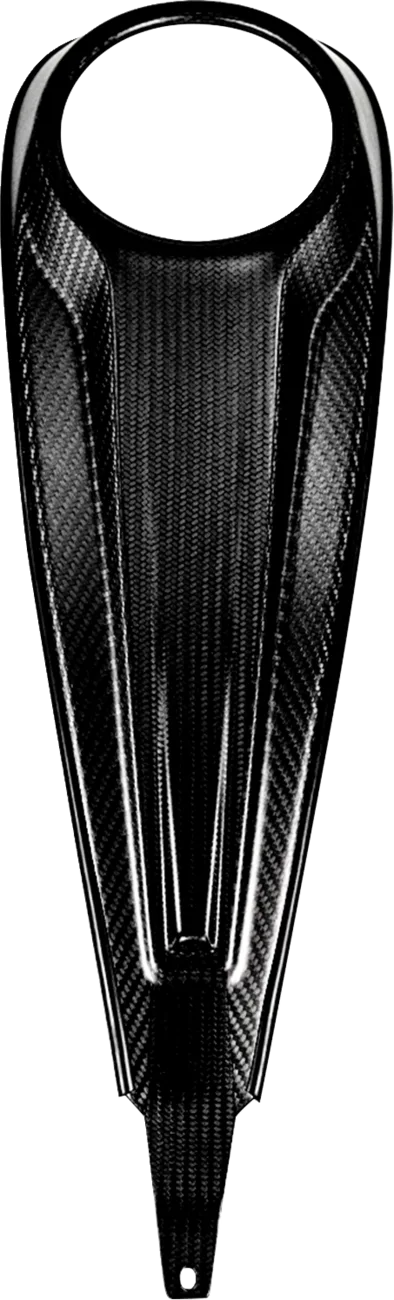 Carbon Fiber Dash Panel For Touring Models
