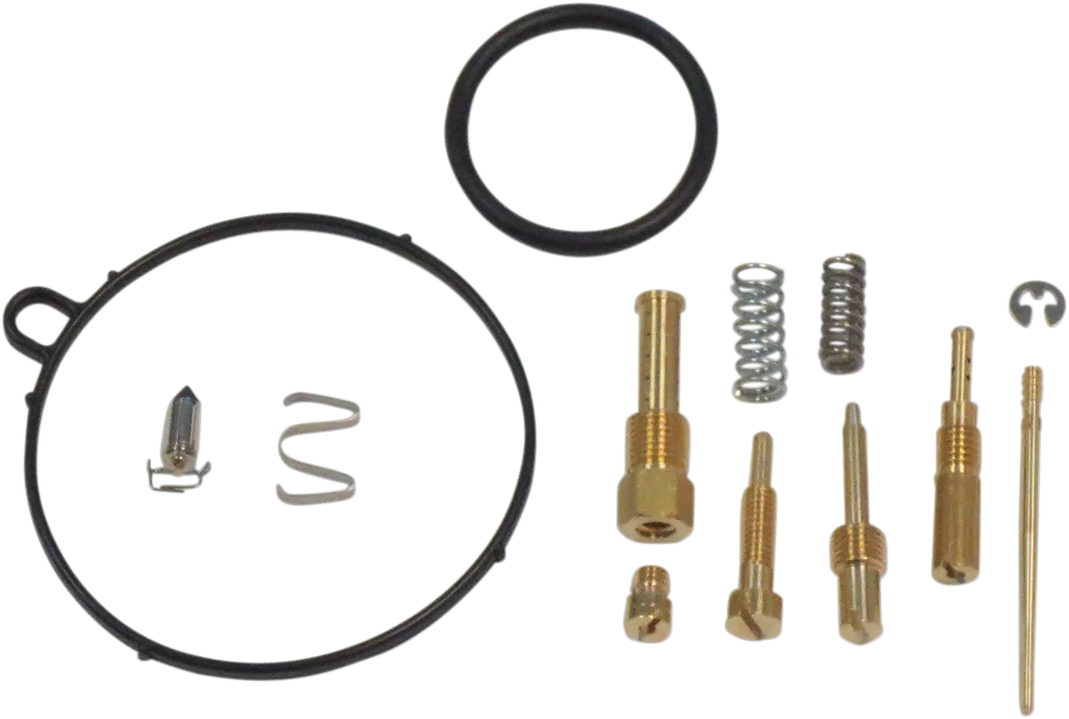 Carburetor Repair Kit