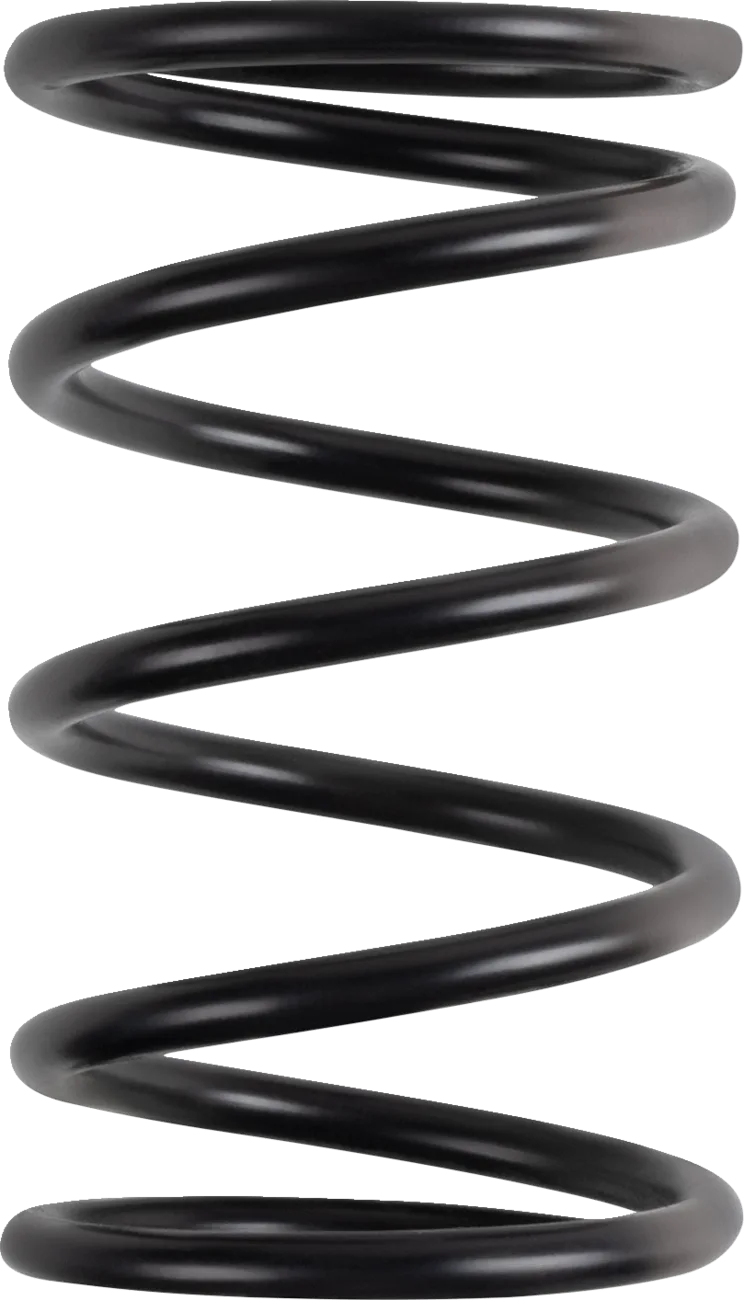 Polaris Primary Clutch Spring
