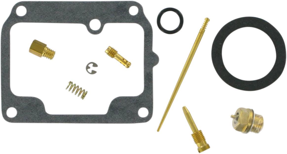 Carburetor Repair Kit