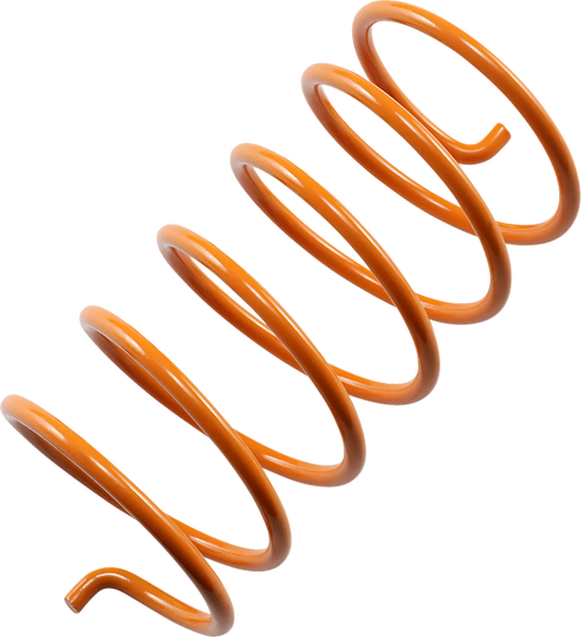 Secondary Clutch Spring