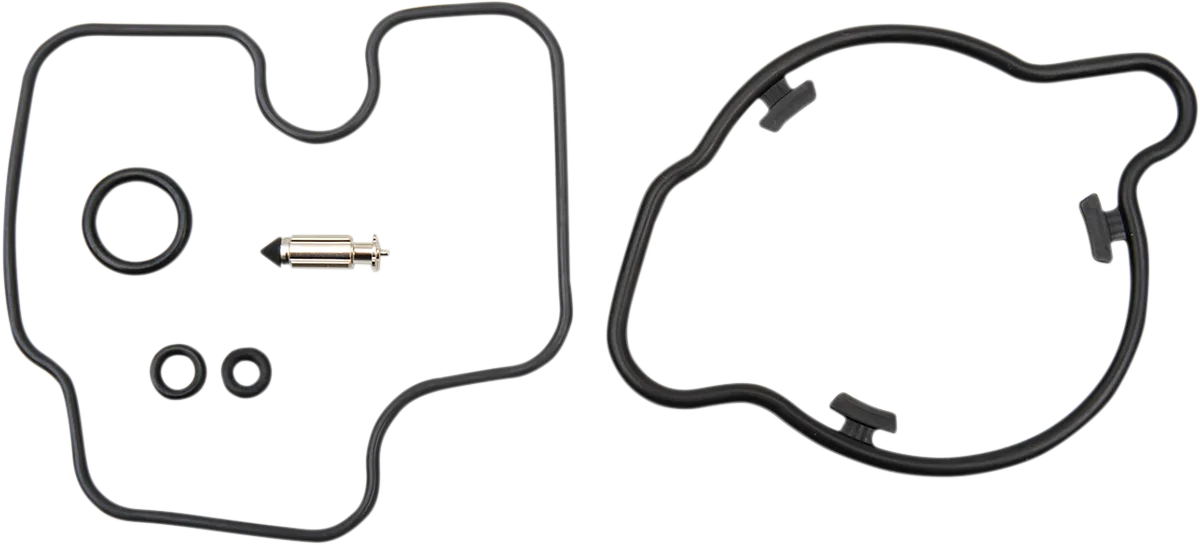 Carburetor Repair Kit