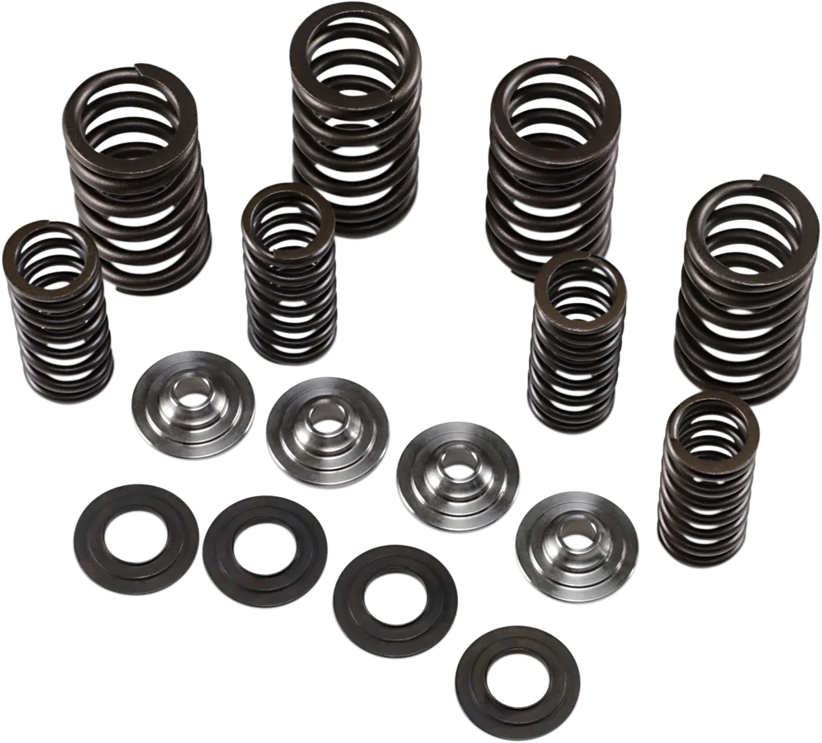 Valve Spring Kit