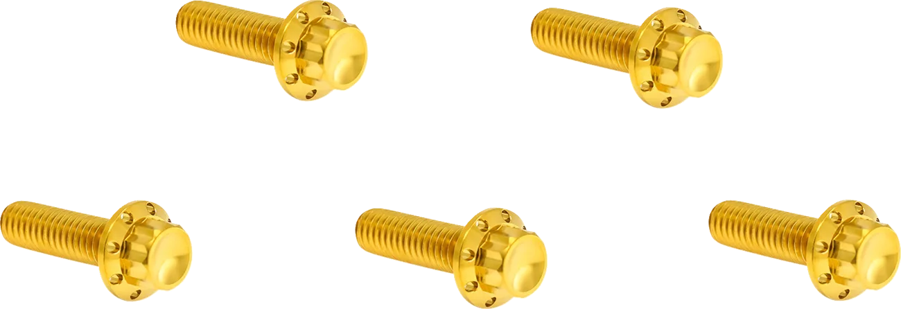 Derby Cover 12-Point Titanium Bolt Kit