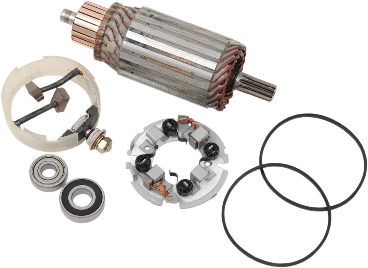 Starter Motor Rebuild Kit