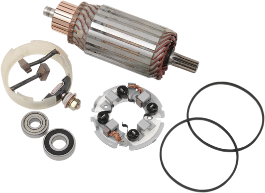 Starter Motor Rebuild Kit