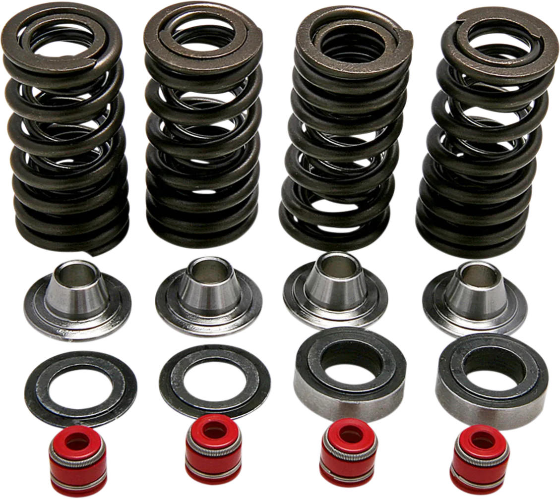 Valve Spring Kit
