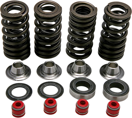 Valve Spring Kit