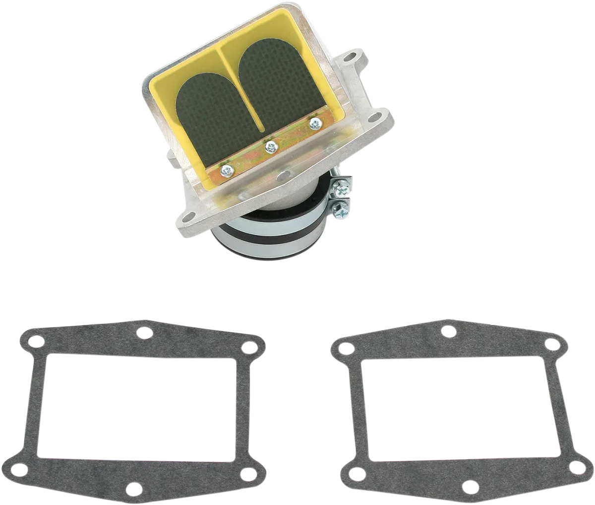 Rad Valve Reed Cage Assembly