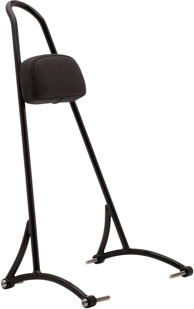 20" Tall Sissy Bar