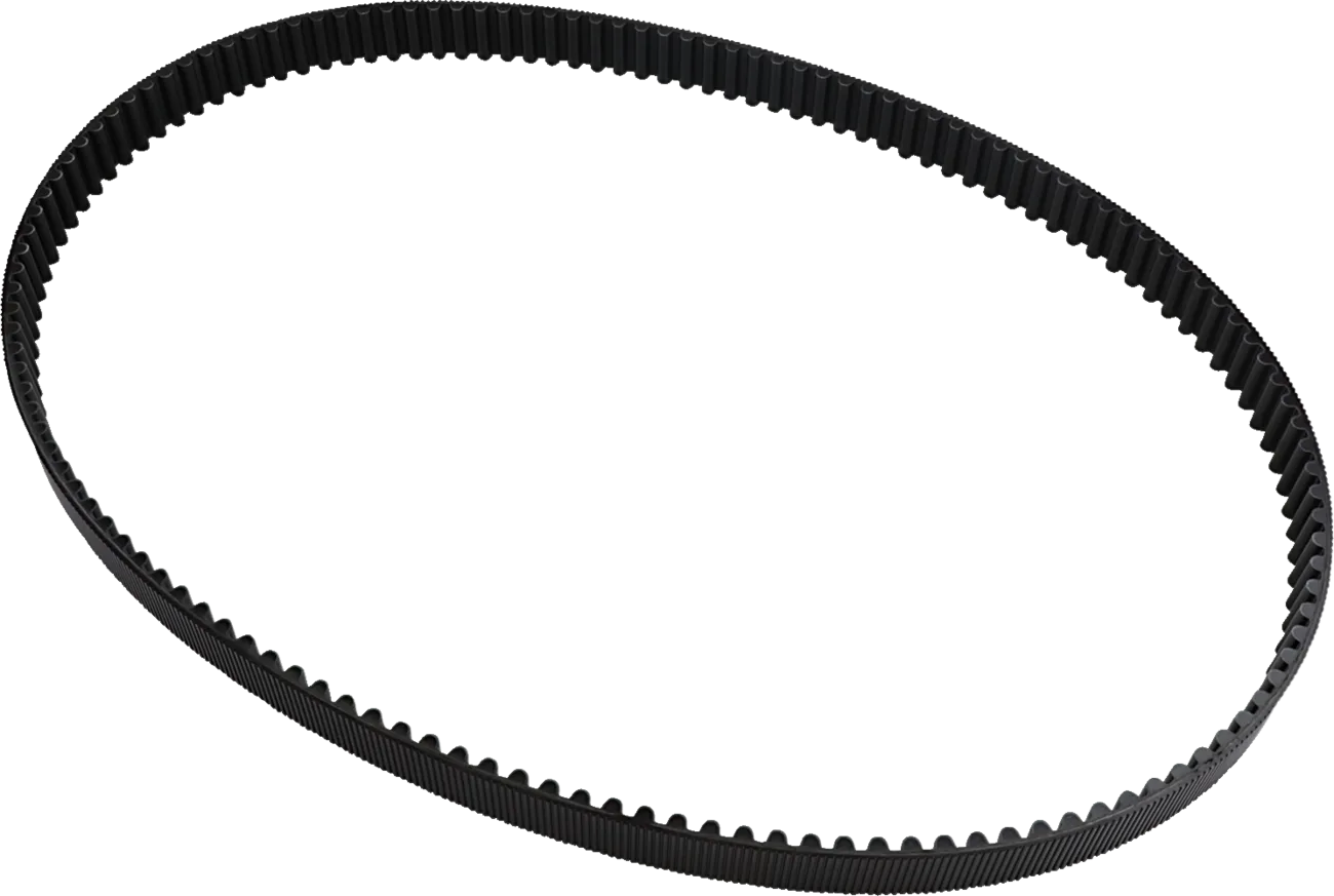 Rear Drive Belt