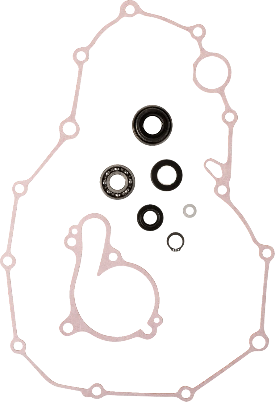 Water Pump Rebuild Kit