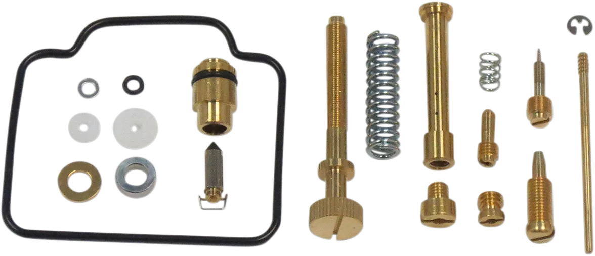 Carburetor Repair Kit