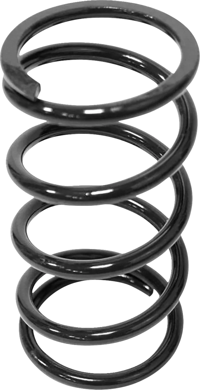 Secondary Clutch Spring