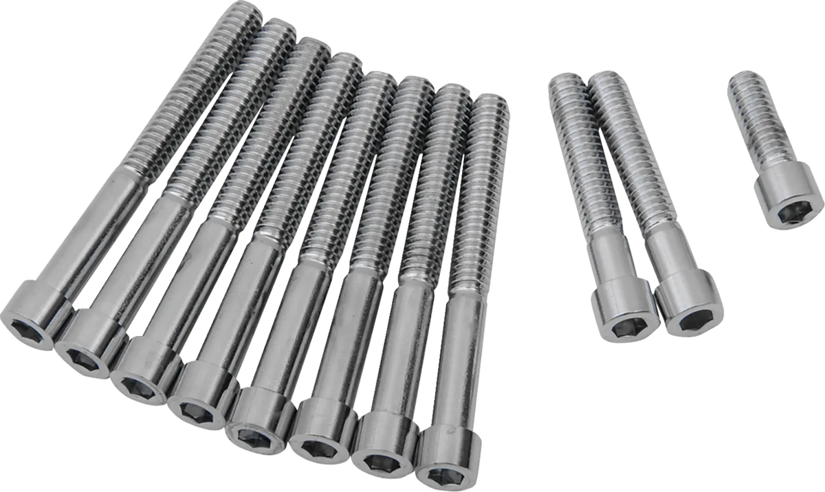 Primary Cover Only Bolt Kit