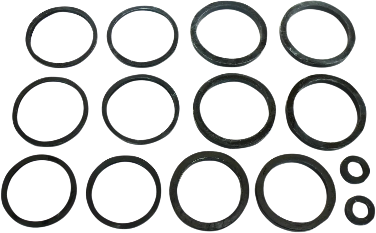 Brake Caliper Seal Kit