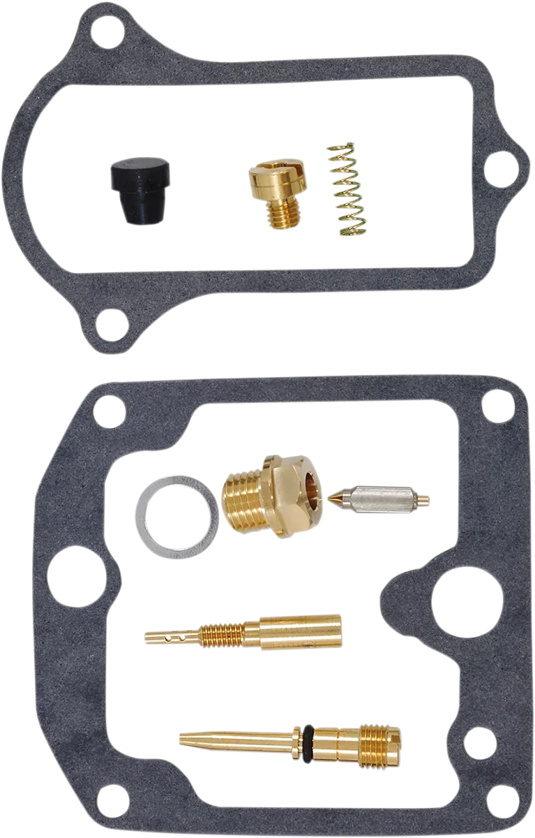 Carburetor Repair Kit