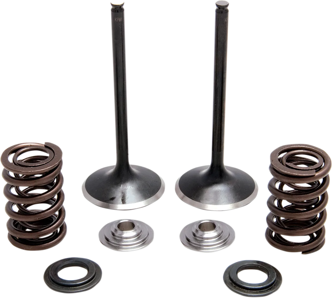 Intake Stainless Conversion Valve and Spring Kit