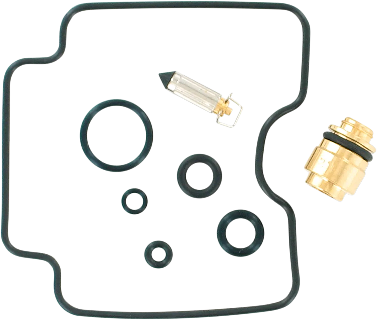 Carburetor Repair Kit