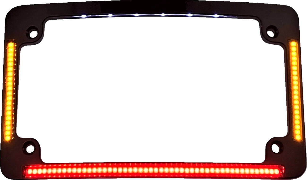 All-in-One License Plate Frame