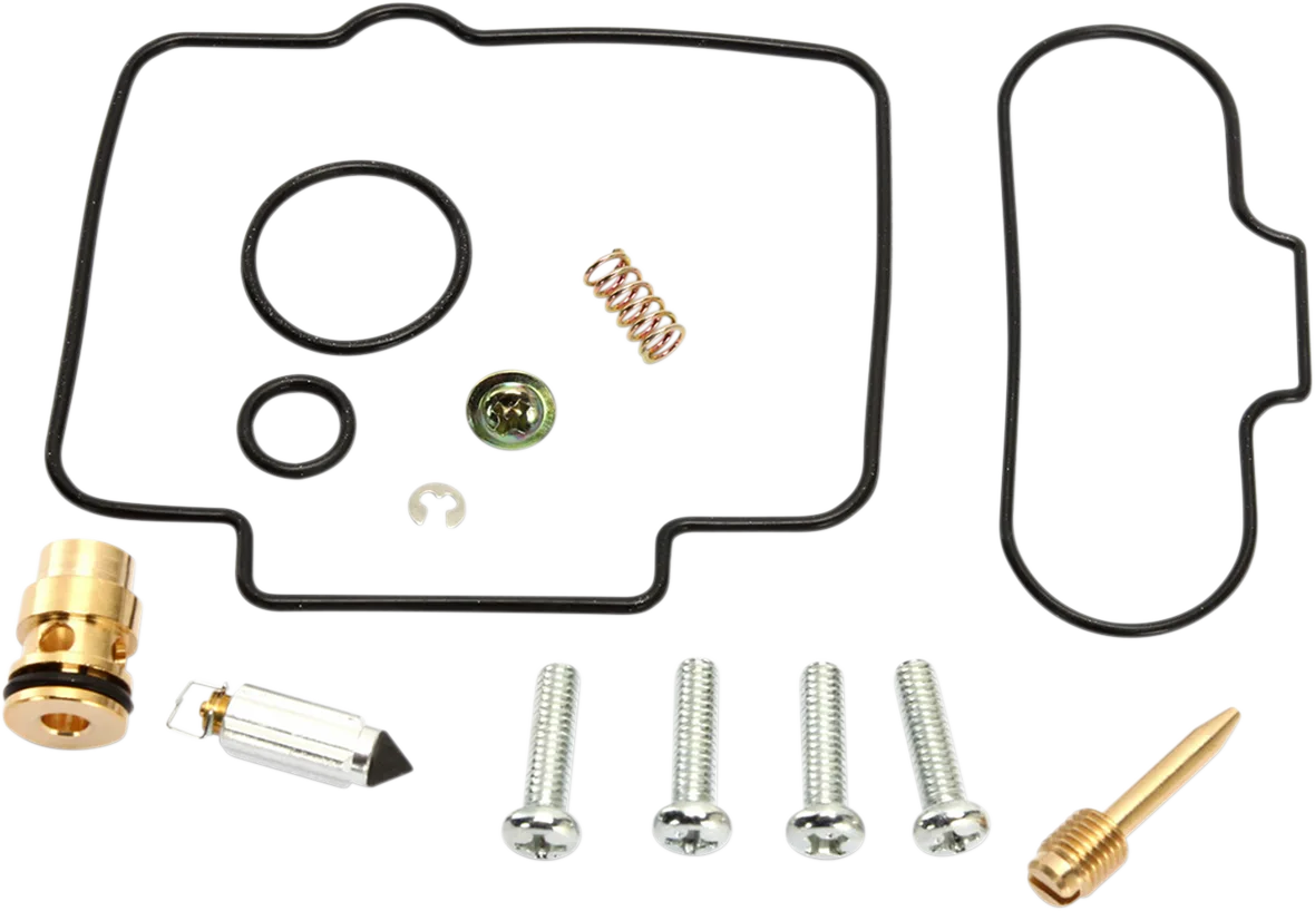 Carburetor Repair Kit