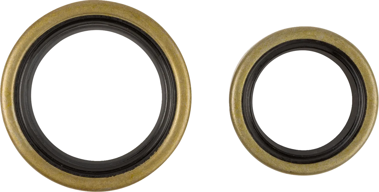 Crankshaft Oil Seal Kit