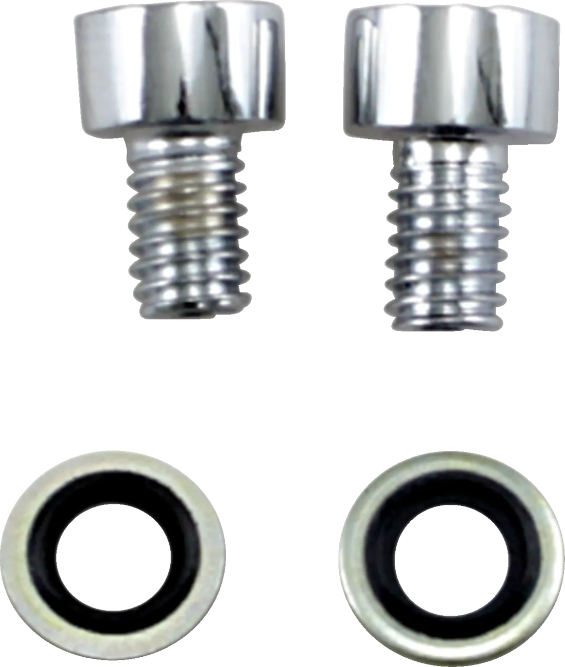 Fork Drain Screw Kit