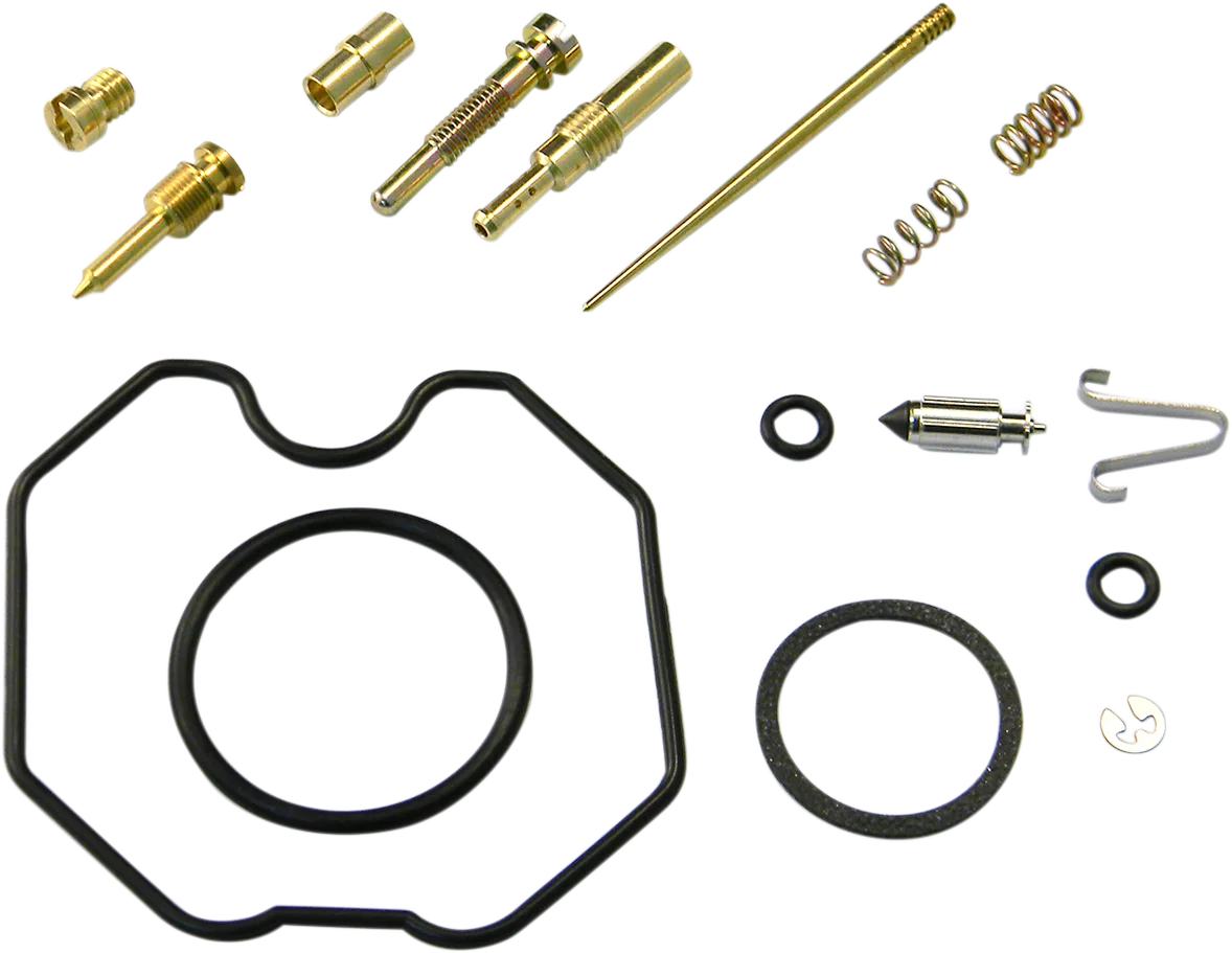 Carburetor Repair Kit