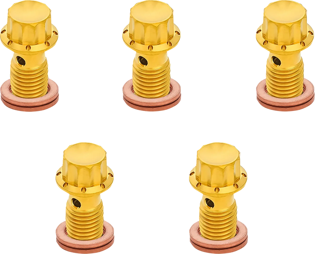 12-Point Titanium Banjo Bolts