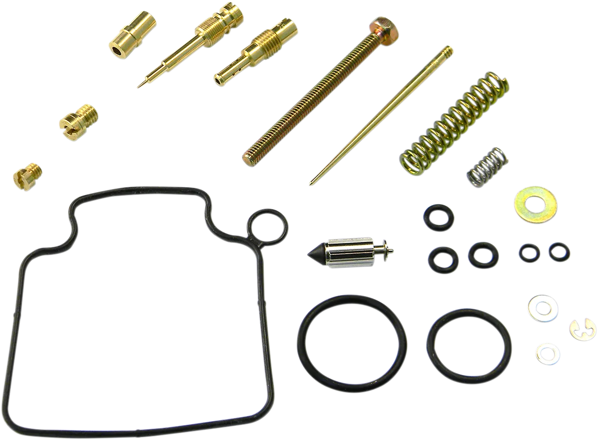 Carburetor Repair Kit