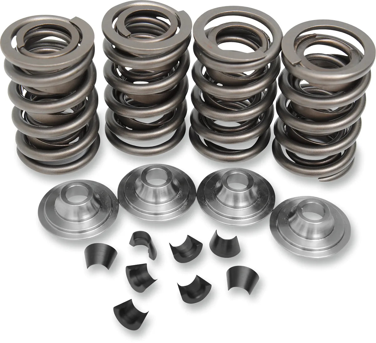 OEM Replacement Valve Spring Kit