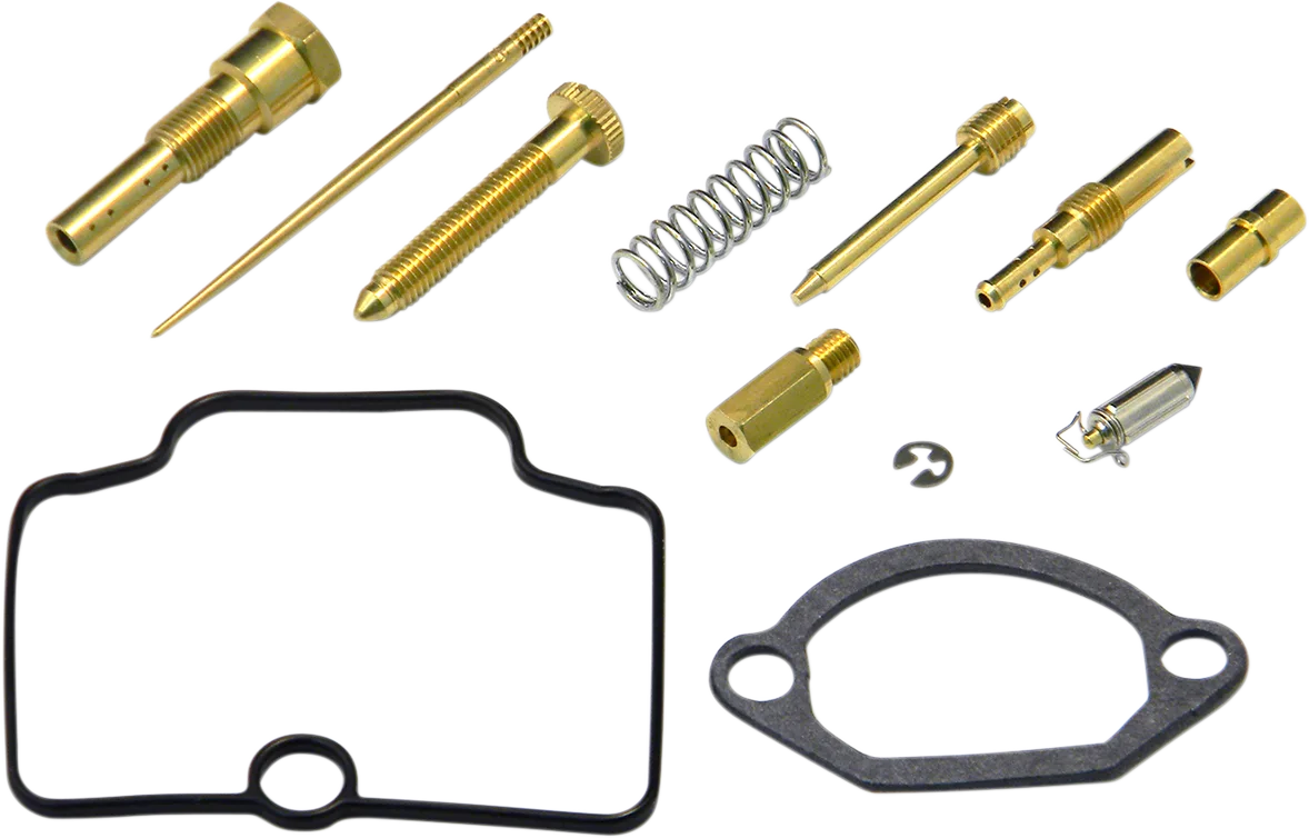 Carburetor Repair Kit