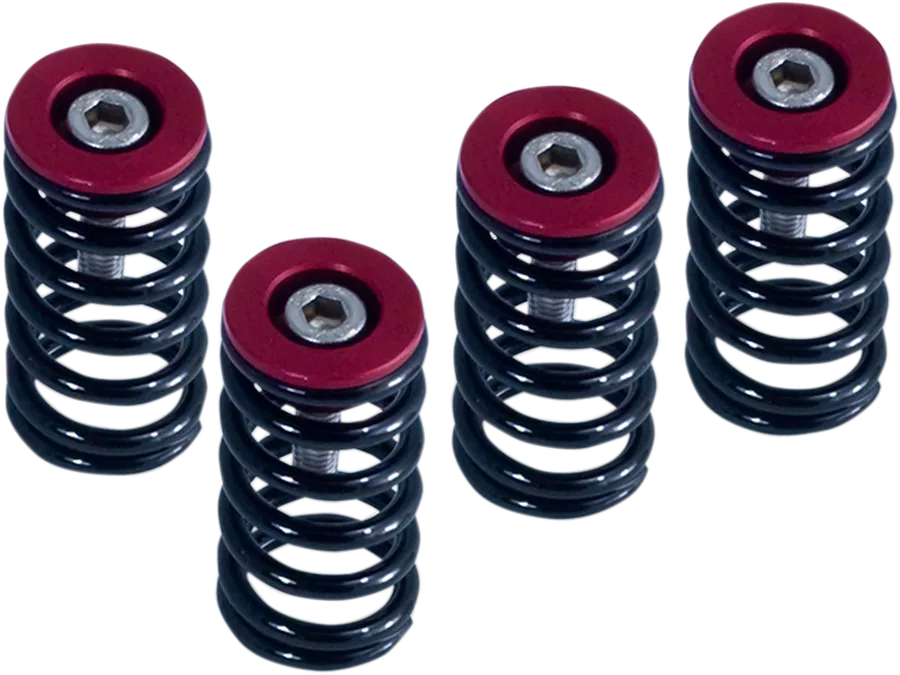 Clutch Spring Kit