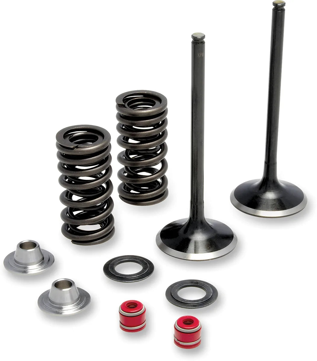 Exhaust Valve and Spring Kit