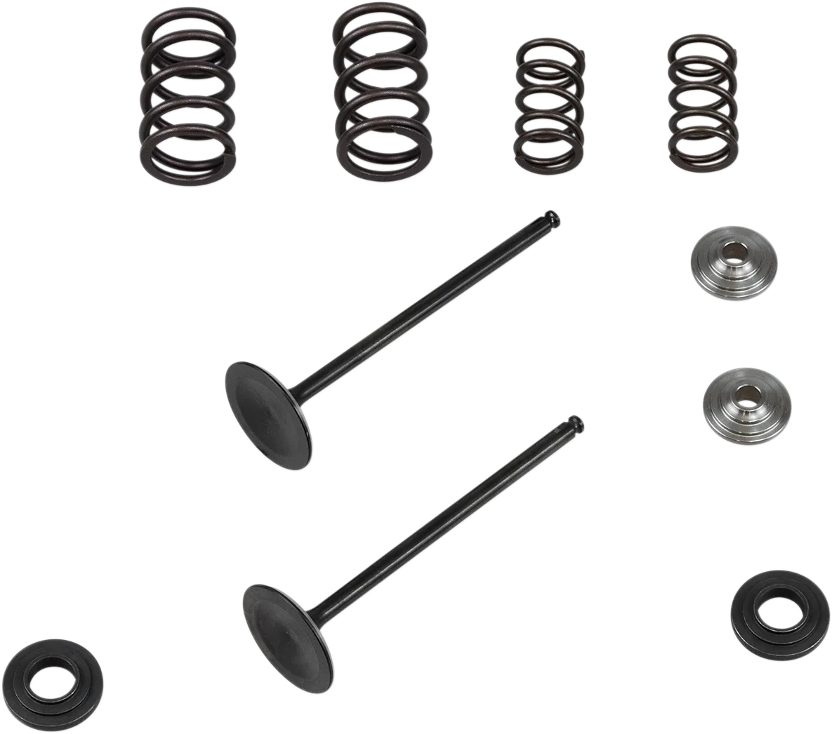 Intake Stainless Conversion Valve and Spring Kit