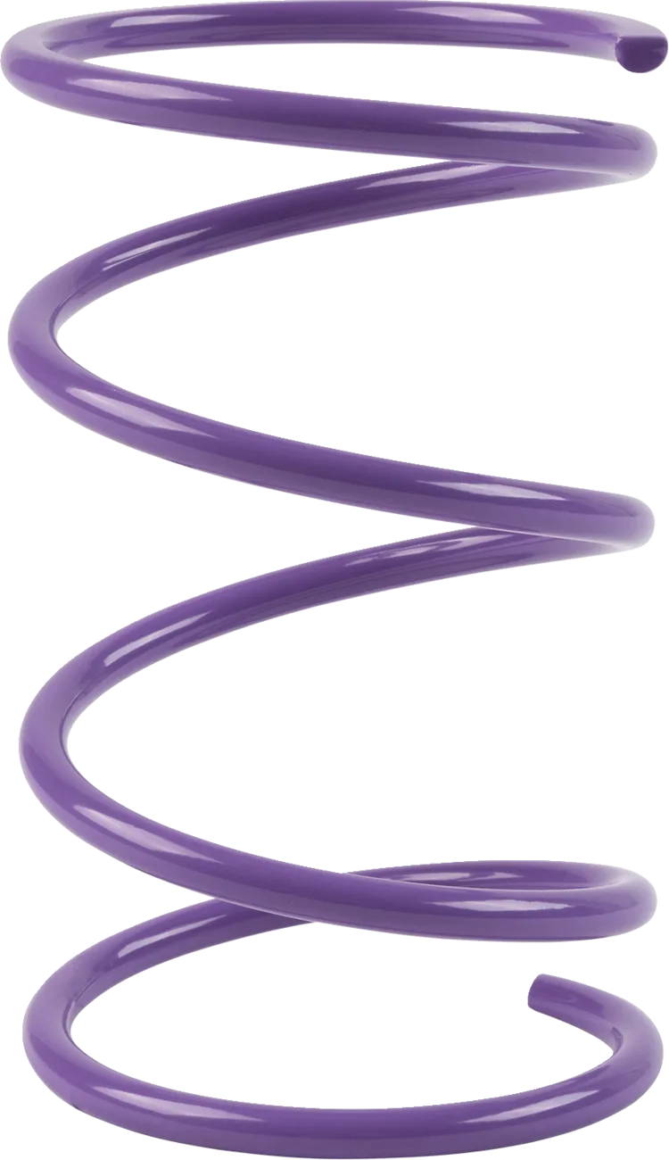 Secondary Clutch Spring