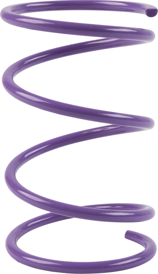 Secondary Clutch Spring