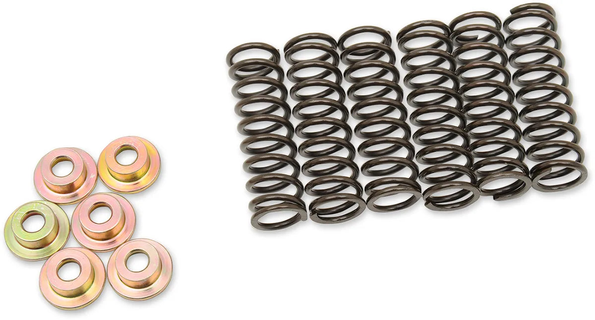 Clutch Spring Kit