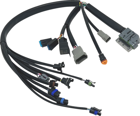 EFI Harness