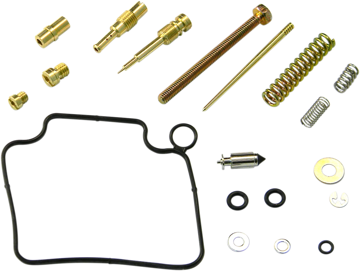 Carburetor Repair Kit