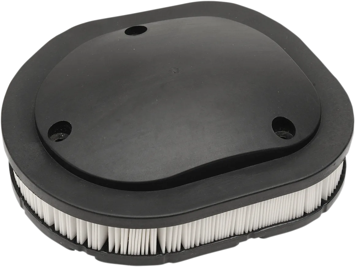 OEM Replacement Air Filter for Indian