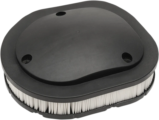 OEM Replacement Air Filter for Indian