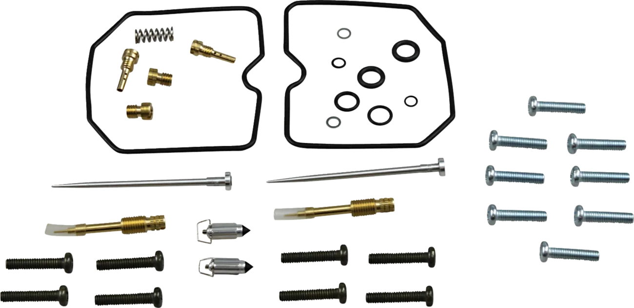 Carburetor Repair Kit